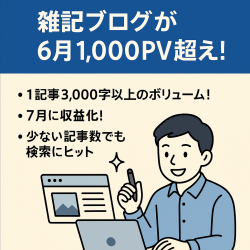 【7月収益化！】雑記ブログ11投稿で6月1,000PV超え！