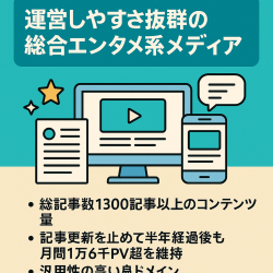 【運営歴8年超･良ドメイン】運営しやすさ抜群の総合エンタメ系メディア