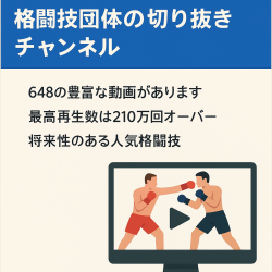 訳あり：【総再生数回数617万回】最高再生数200万以上 某有名格闘技団体切り抜きチャンネル