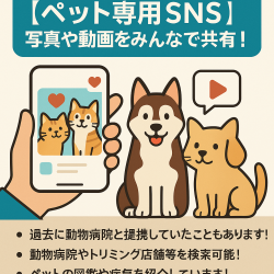 【ペット専用SNS】写真や動画をみんなで共有できます！